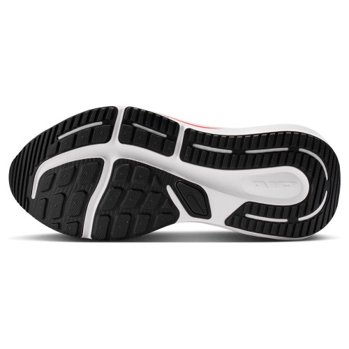 Nike Winflo 12